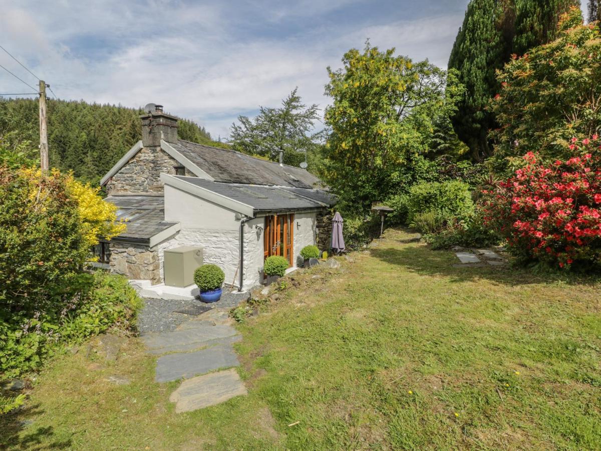 Vila Bron Olau Gellilydan Exteriér fotografie