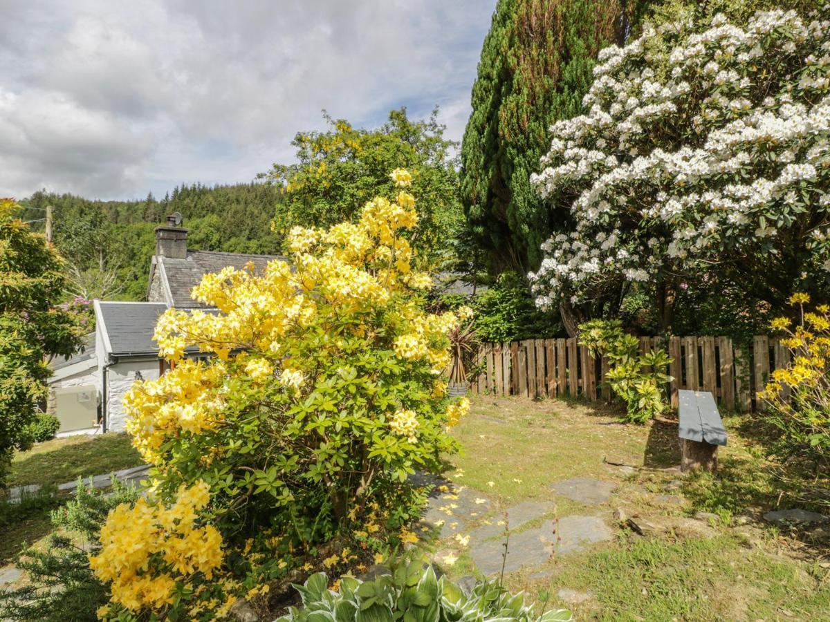 Vila Bron Olau Gellilydan Exteriér fotografie