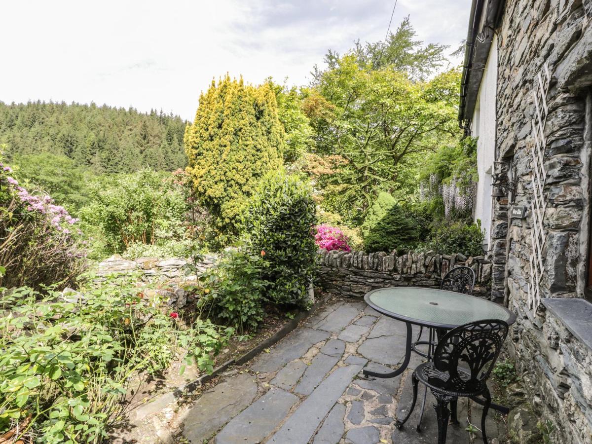 Vila Bron Olau Gellilydan Exteriér fotografie